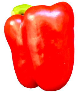 red_publica